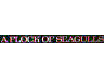 FLOCK OF SEAGULLS 2